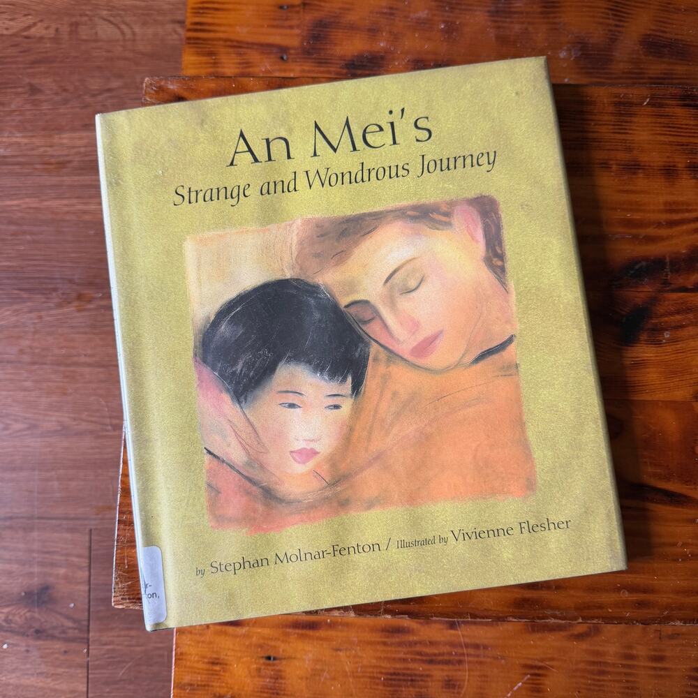 Vtg 1998 Ann Mei's Strange & Wondrous Journey Chinese-American Hardcover Book